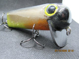 FWL Cicada 12