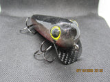 FWL Cicada 13