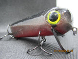 FWL Cicada 13