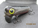 FWL Cicada 13