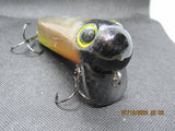 FWL Cicada 14