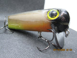 FWL Cicada 14