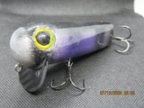 FWL Cicada 15
