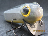 FWL Cicada 17