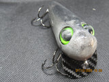 FWL Cicada 19