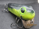 FWL Cicada 20