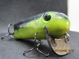 FWL Cicada 20