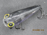 FWL Cicada 21