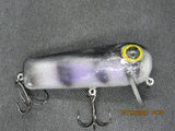 FWL Cicada 21