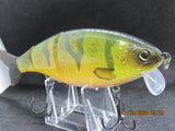 7" 3 PCS Custom Colors Wake Shad in Perch