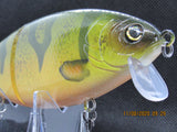 7" 3 PCS Custom Colors Wake Shad in Perch