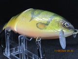 7" 3 PCS Custom Colors Wake Shad in Perch