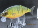 7" 3 PCS Custom Colors Wake Shad in Perch