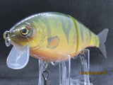 7" 3 PCS Custom Colors Wake Shad in Perch