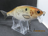 7" 3 PCS Custom Colors Wake Shad in Shad