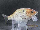 7" 3 PCS Custom Colors Wake Shad in Shad